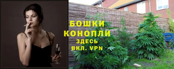 индика Аркадак