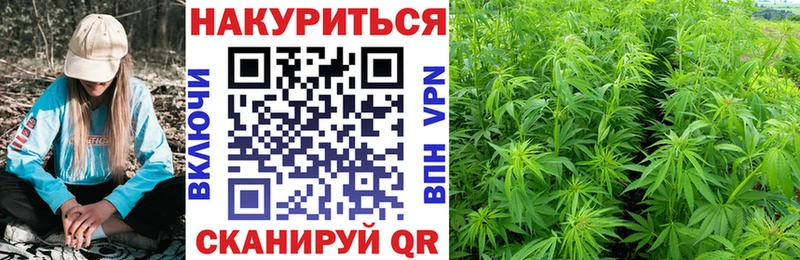 Марихуана план Королёв